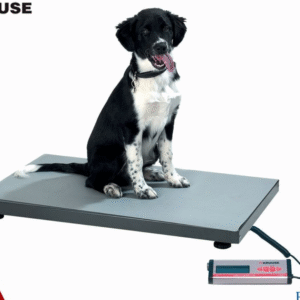 kruuse walk on scale