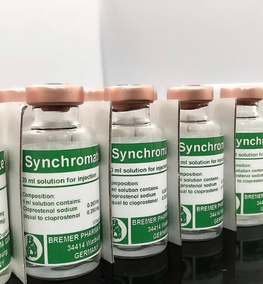 synchromate 20ml solution for injection synchromate 20ml solution for injection